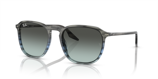 Ray-Ban RB2203 - Striped Grey & Blue / Blue/Black (1391GK)