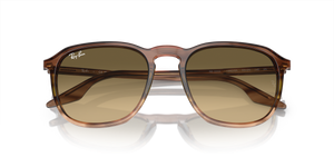 Striped Brown & Green / Brown Black (13920A)