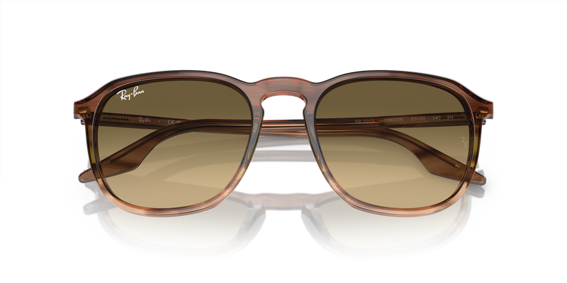 Ray-Ban RB2203 in Striped Brown & Green - Alternate View