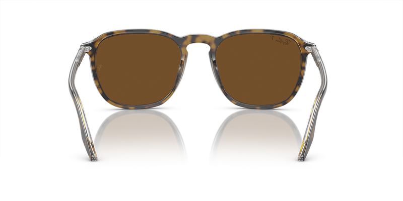 Ray-Ban RB2203 in Havana - Alternate View