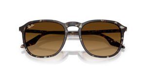 Havana Yellow Turtle / Gradient Brown (143185)