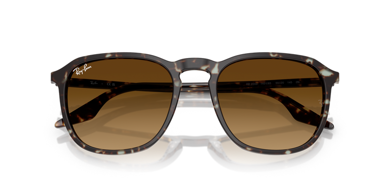 Ray-Ban RB2203 in Havana Yellow Turtle - Alternate View
