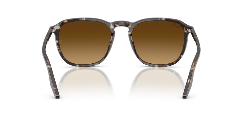Ray-Ban RB2203 in Havana Yellow Turtle - Alternate View