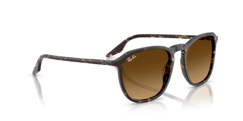 Ray-Ban RB2203 in Havana Yellow Turtle - Alternate View
