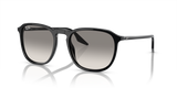 Black / Light Grey (901/32)