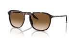 Havana / Light Brown (902/51)