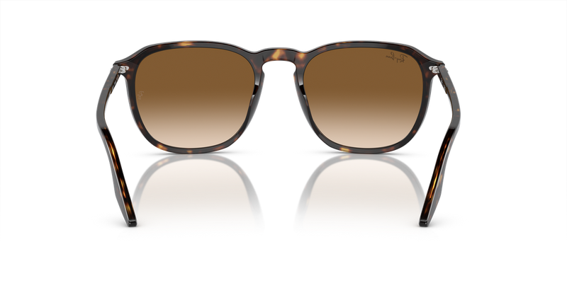 Ray-Ban RB2203 in Havana - Alternate View