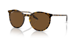 Havana On Transparent / Brown Polarized (139357)