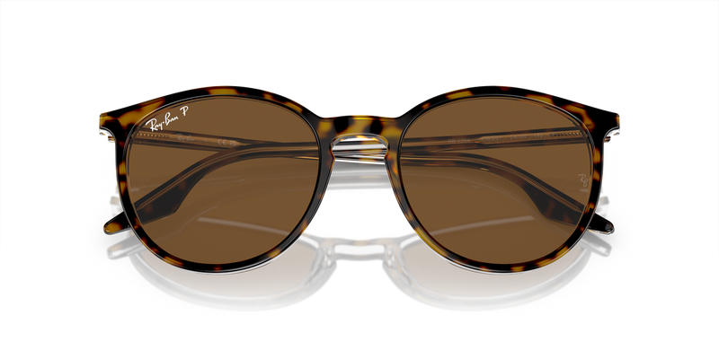 Ray-Ban RB2204 in Havana On Transparent / Brown Polarized (139357) - Side View