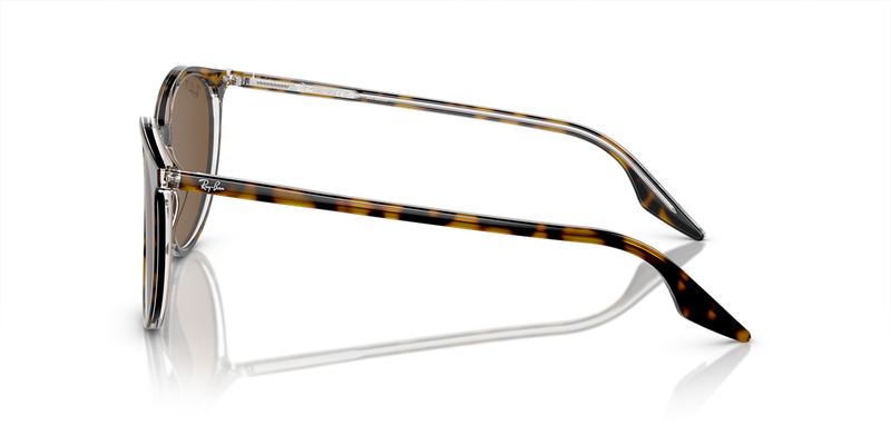 Ray-Ban RB2204 in Havana On Transparent / Brown Polarized (139357) - Back View
