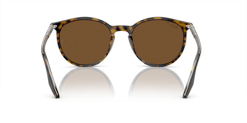 Ray-Ban RB2204 in Havana On Transparent / Brown Polarized (139357) - Temple Detail
