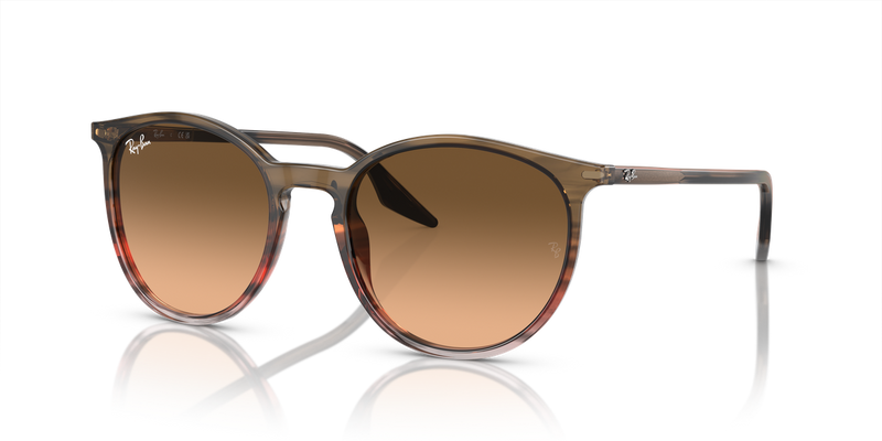 Ray-Ban RB2204 in Striped Brown & Red / Pink/Black (13953B) - Alternate View