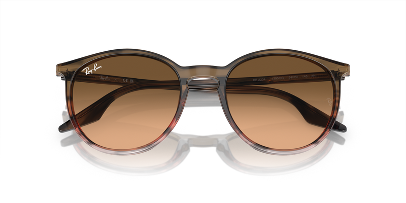 Ray-Ban RB2204 in Striped Brown & Red / Pink/Black (13953B) - Alternate View
