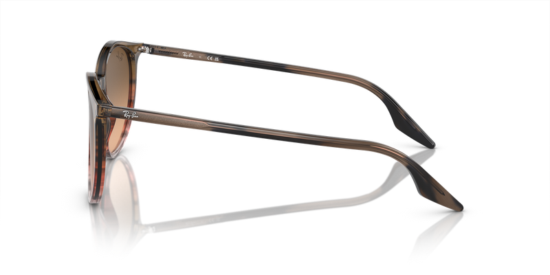 Ray-Ban RB2204 in Striped Brown & Red / Pink/Black (13953B) - Alternate View