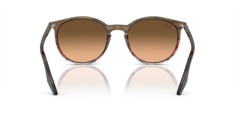Ray-Ban RB2204 in Striped Brown & Red / Pink/Black (13953B) - Alternate View