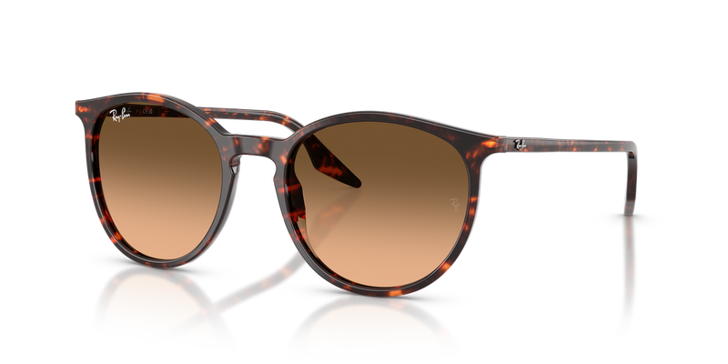 Ray-Ban RB2204 in Havana Red Turtle / Pink Gradient Black (14293B) - Alternate View