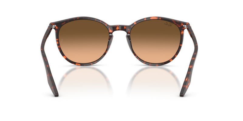 Ray-Ban RB2204 in Havana Red Turtle / Pink Gradient Black (14293B) - Alternate View