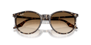 Havana Yellow Turtle / Clear Gradient Brown (143151)