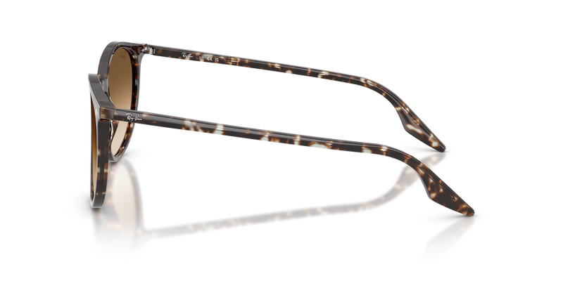 Ray-Ban RB2204 in Havana Yellow Turtle / Clear Gradient Brown (143151) - Alternate View
