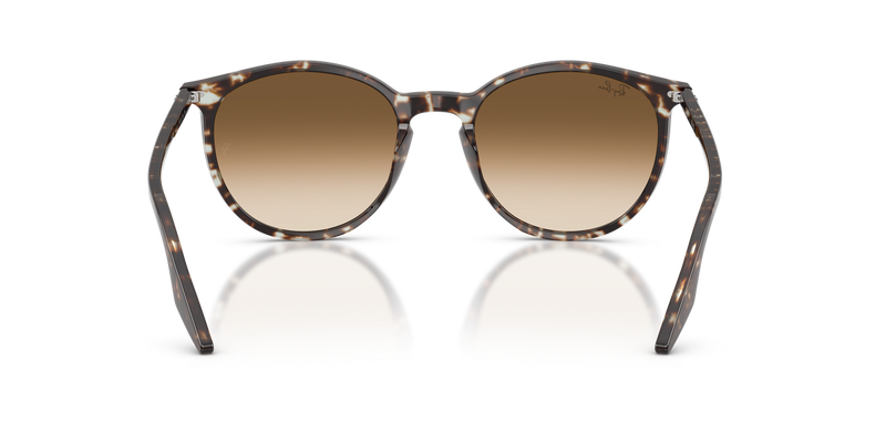 Ray-Ban RB2204 in Havana Yellow Turtle / Clear Gradient Brown (143151) - Alternate View