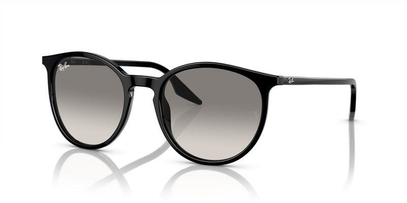 Ray-Ban RB2204 in Black / Light Grey (901/32) - Alternate View