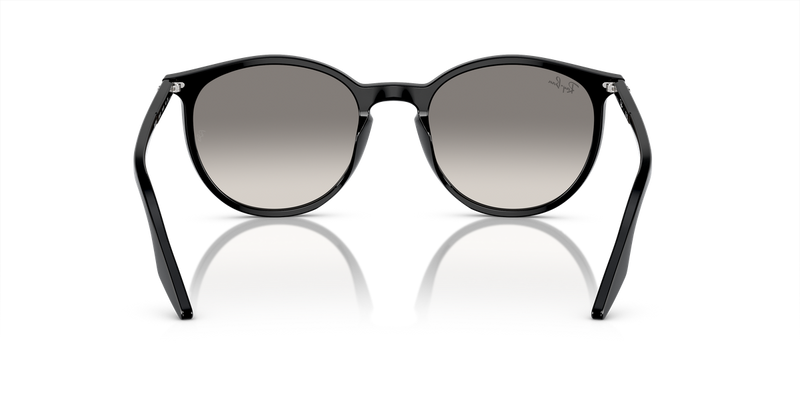 Ray-Ban RB2204 in Black / Light Grey (901/32) - Alternate View