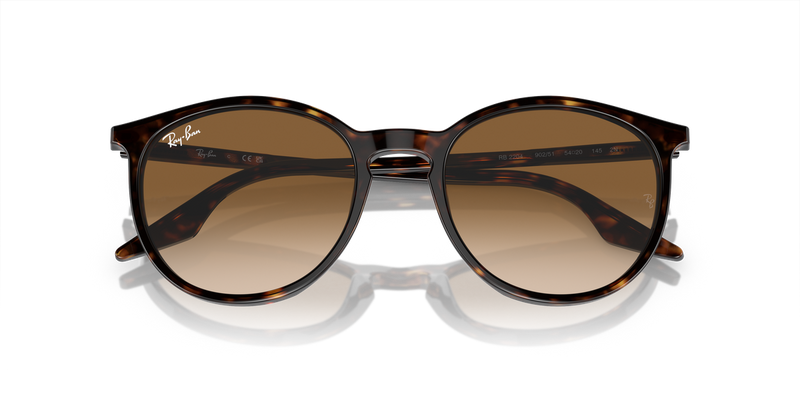 Ray-Ban RB2204 in Havana / Light Brown (902/51) - Alternate View