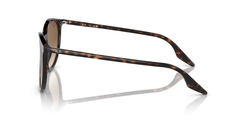 Ray-Ban RB2204 in Havana / Light Brown (902/51) - Alternate View