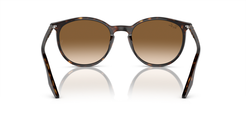Ray-Ban RB2204 in Havana / Light Brown (902/51) - Alternate View