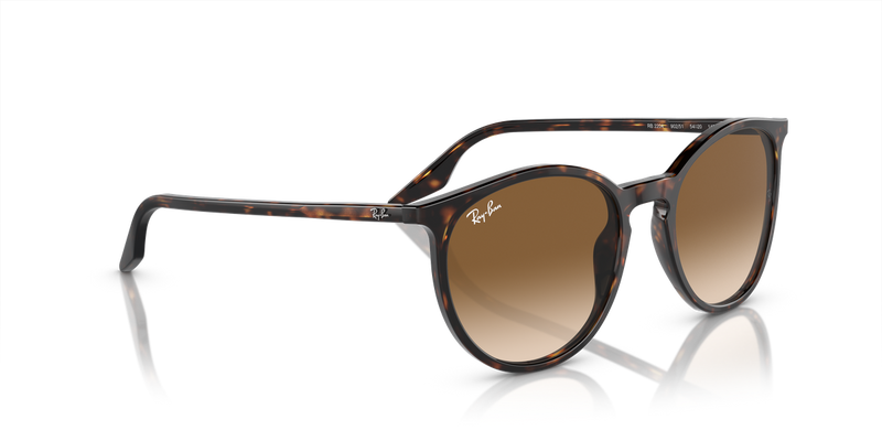 Ray-Ban RB2204 in Havana / Light Brown (902/51) - Alternate View