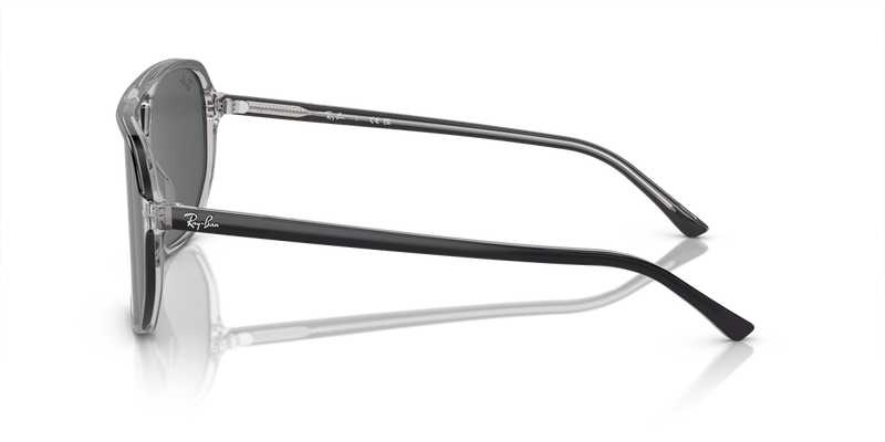 Ray-Ban BILL ONE in Dark Grey On Transparent Grey / Dark Grey (1396B1) - Alternate View