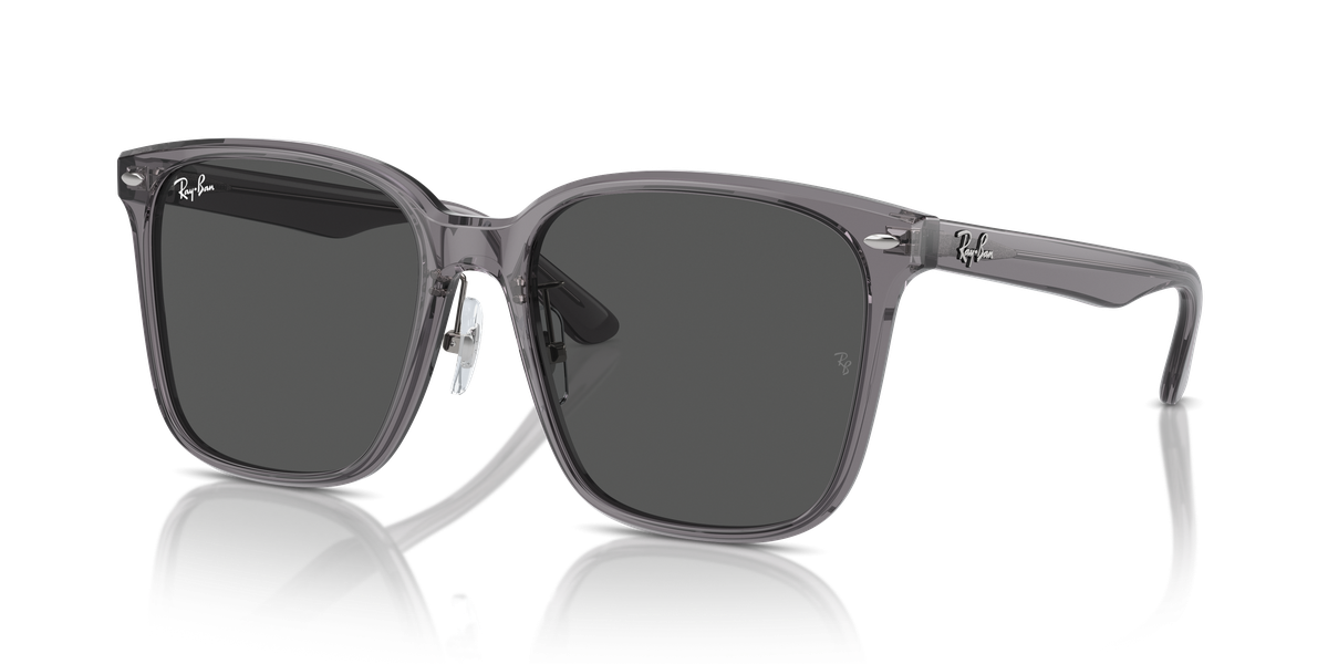 Ray-Ban RB2206D
