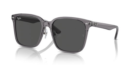 Ray-Ban RB2206D - Transparent Grey / Dark Grey (139987)