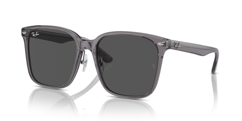 Ray-Ban RB2206D in Transparent Grey / Dark Grey (139987) - Front View