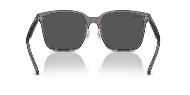 Ray-Ban RB2206D in Transparent Grey / Dark Grey (139987) - Temple Detail