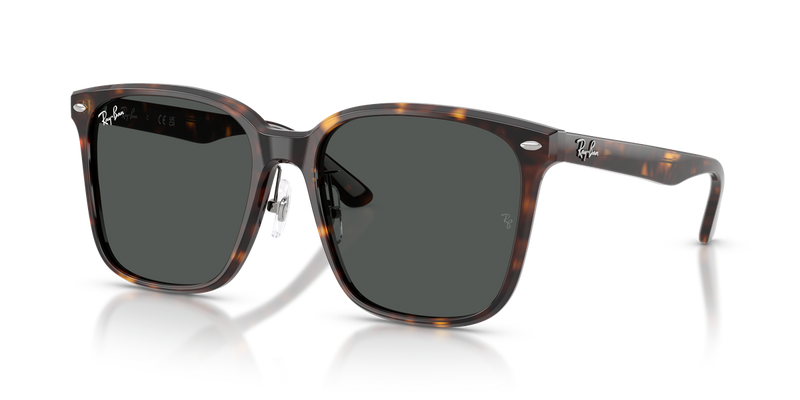 Ray-Ban RB2206D in Havana / Dark Grey (710/87) - Alternate View