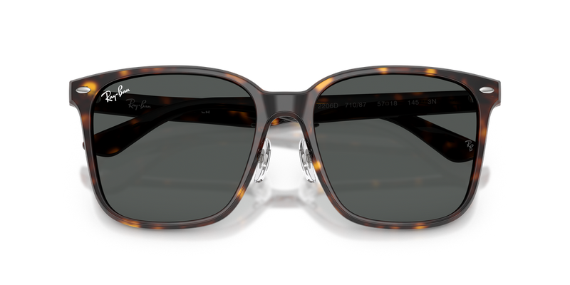 Ray-Ban RB2206D in Havana / Dark Grey (710/87) - Alternate View
