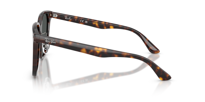 Ray-Ban RB2206D in Havana / Dark Grey (710/87) - Alternate View