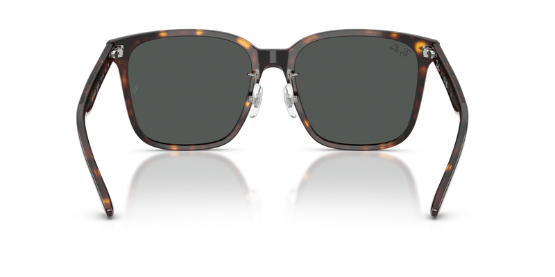 Ray-Ban RB2206D in Havana / Dark Grey (710/87) - Alternate View