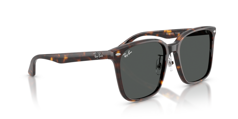 Ray-Ban RB2206D in Havana / Dark Grey (710/87) - Alternate View