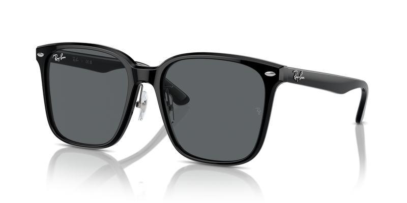 Ray-Ban RB2206D in Black / Dark Grey (901/87) - Alternate View