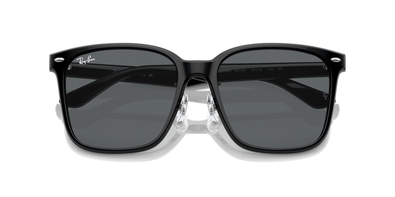 Ray-Ban RB2206D in Black / Dark Grey (901/87) - Alternate View