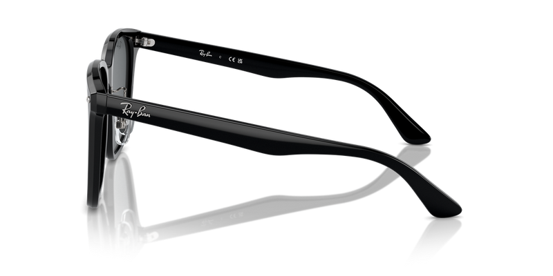 Ray-Ban RB2206D in Black / Dark Grey (901/87) - Alternate View