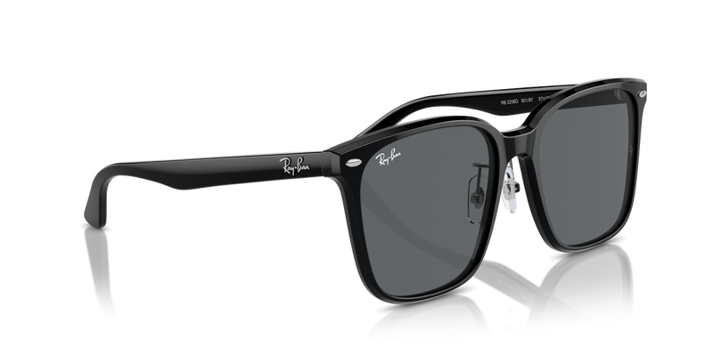 Ray-Ban RB2206D in Black / Dark Grey (901/87) - Alternate View