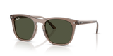 Transparent Light Brown / Green (845731)