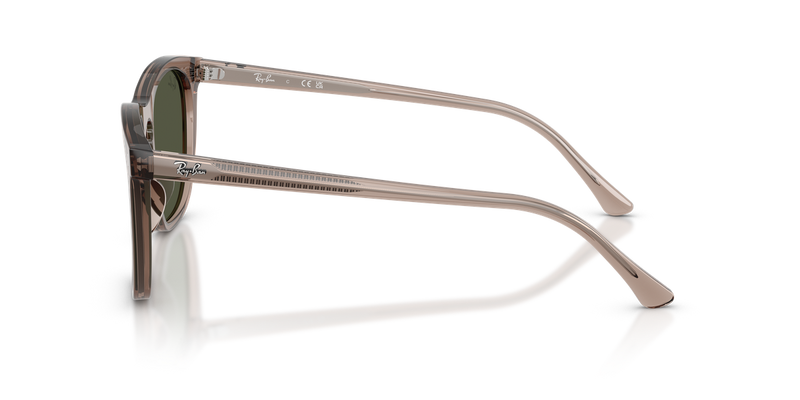 Ray-Ban RB2210F in Transparent Light Brown - Back View