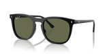 Black / Green Polarized (901/58)