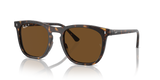 Havana / Brown Polarized (902/57)