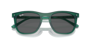 Transparent Green / Dark Grey (6615B1)
