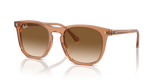 Transparent Brown / Clear & Brown (676451)